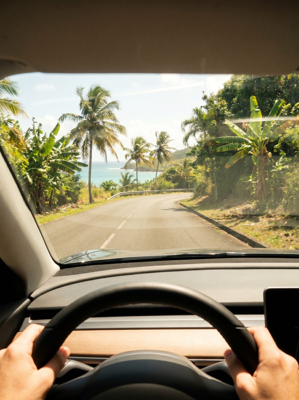 Vue du conducteur sur une route bordée de palmiers avec la mer en Guadeloupe